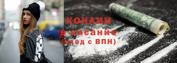 индика Армянск