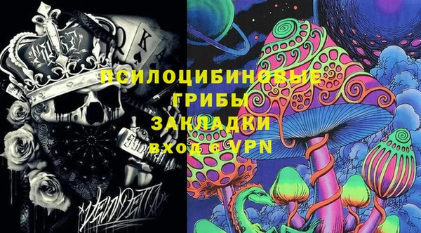 индика Армянск