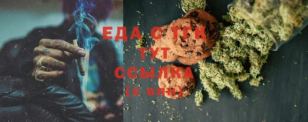 индика Армянск