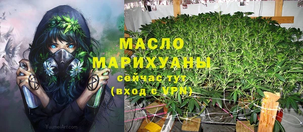 индика Армянск
