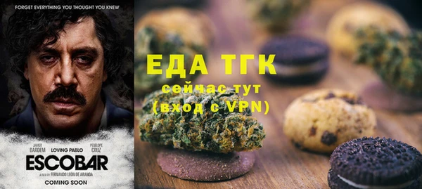 индика Армянск
