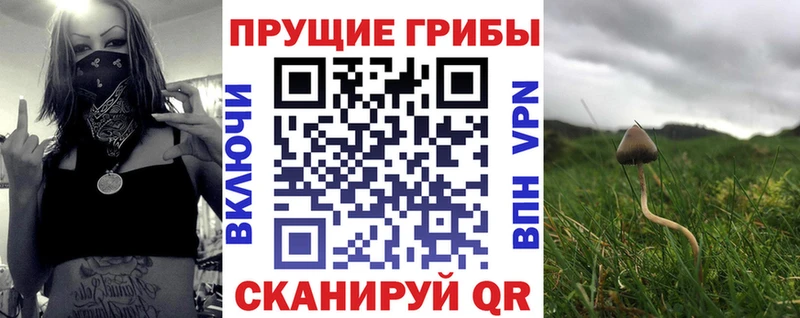 Псилоцибиновые грибы мухоморы  Чернушка 