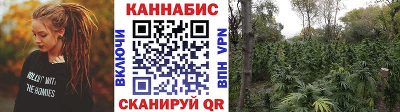 Конопля THC 21%  кракен зеркало  Чернушка  купить  сайты 